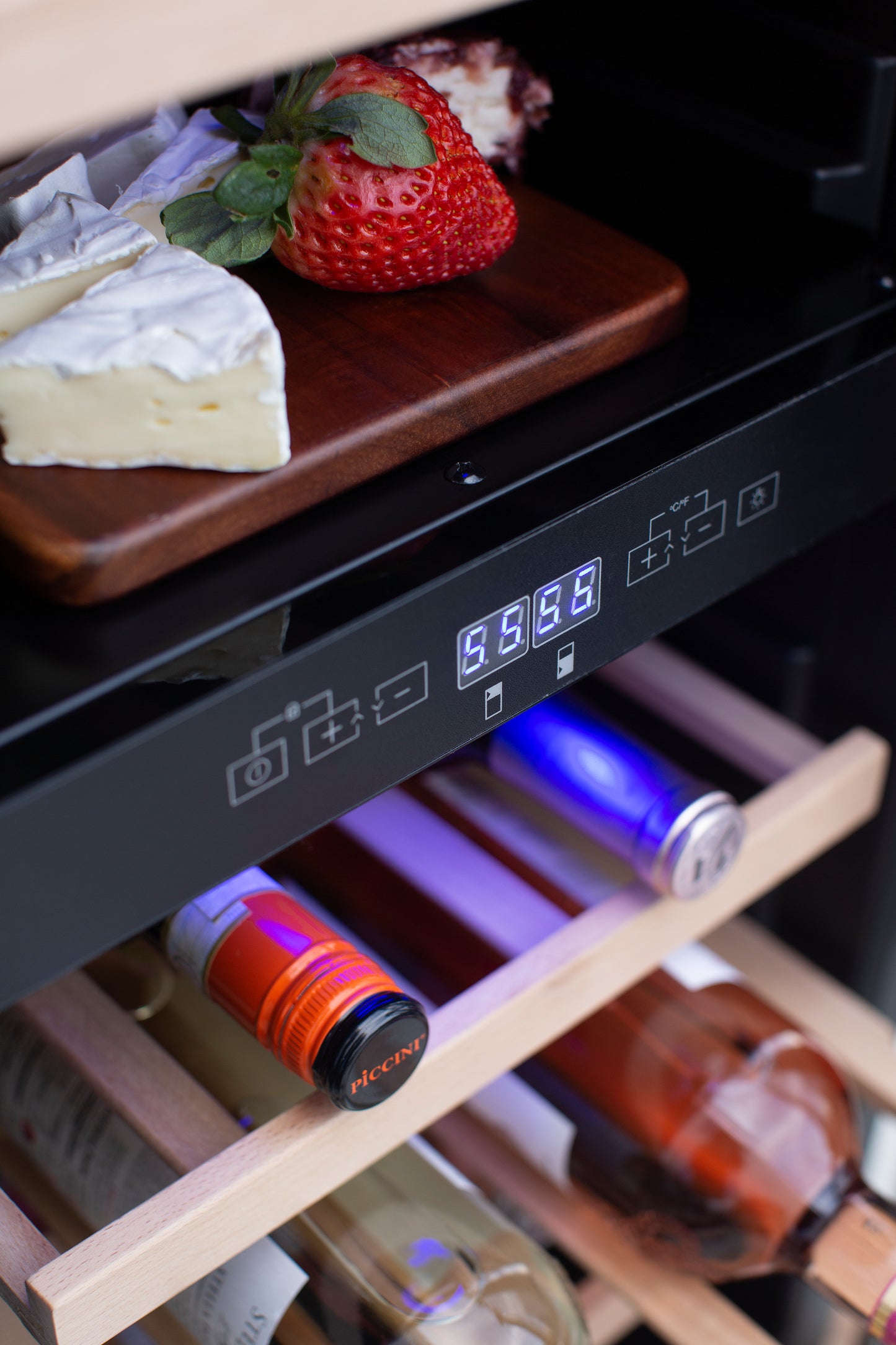 Outdoor Rated Wine Coolers